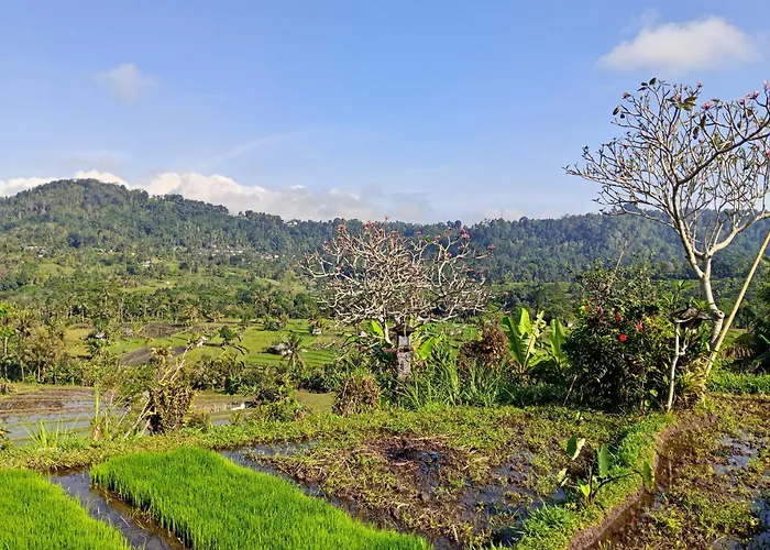Kawandini * Sidemen (Bali)