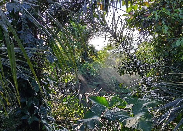Kawandini * Sidemen (Bali)